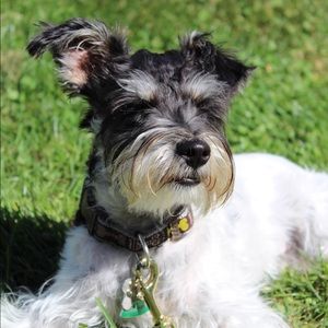 Meet your Posher, Meghan